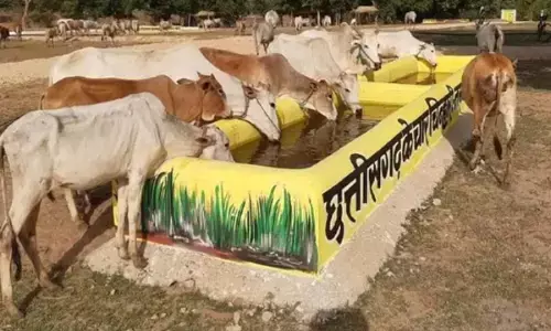 स्वतंत्रता दिवस समारोह में उत्कृष्ट गौठान होंगे पुरस्कृत, राज्य के तीन उत्कृष्ट गौठानों को मिलेगी 50-50 हजार रूपए की प्रोत्साहन राशि