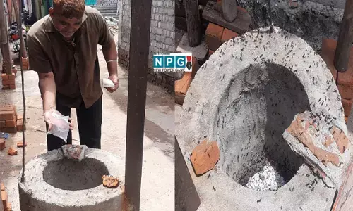 CG News: छत्तीसगढ़ में अनोखा मामला- चीटियों की शिकायत पहुंची थाने, शिकायतकर्ता महिला बोली- पड़ोस की चीटिंयों कर रही बहुत परेशान....