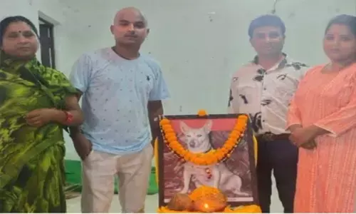 बाल्को कर्मी ने कुते की अंतिम यात्रा निकाल किया रीति रिवाज से अंतिम संस्कार, मुंडन करवा दशगात्र के बाद करवाया डेढ़ सौ लोगो को मृत्यु भोज