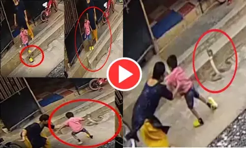 दिल दहला देने वाली VIDEO: बच्चे के सामने फन फैलाकर खड़ा हुआ कोबरा, मां ने ऐसे बचाई मासूम की जान... देखिए