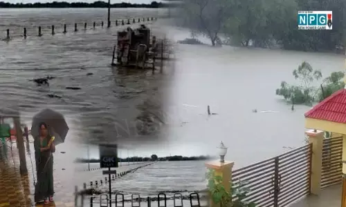 CG में बौराई महानदी VIDEO: शिवरीनारायण का शबरी सेतु डूबा, शिवरीनारायण-बिलासपुर सारंगढ़-कसडोल-बलौदाबाजार मार्ग बंद