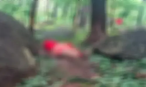 सीजी न्यूज़: रेप के बाद हत्या!.. जंगल में नवविवाहिता की लाल जोड़े में मिली लाश, कुछ दिन पहले शादी होने का अंदेशा, पुलिस जांच में जुटी...