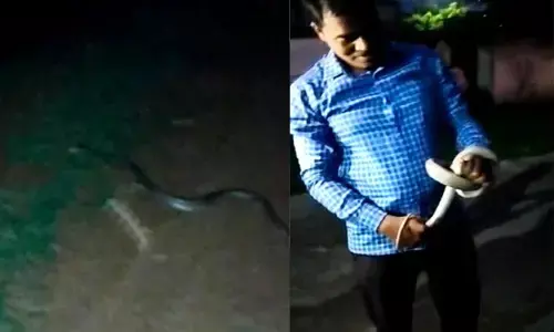 CG News: SP ऑफिस में घुसा नाग सांप, मची अफरा-तफरी, सांप को देख पुलिसकर्मियों की अटक गई सांसे, फिर आरक्षक ने...