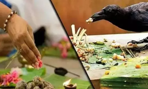 पितृ पक्ष 2022: पितरों को तर्पण से यश-कीर्ति के साथ होते हैं अनेक लाभ, पढ़िए पितरों तक कैसे पहुंचते हैं अर्पित भोजन