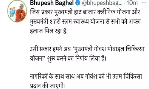छत्तीसगढ़ में शुरू होगी मुख्यमंत्री गोवंश मोबाइल चिकित्सा, CM भूपेश बघेल ने दिए निर्देश...