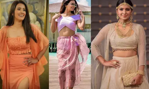 Harbhajan Singh-Geeta Basra: 6 साल बाद फिल्मों में वापसी करेंगी हरभजन सिंह की पत्नी गीता बसरा, इस फिल्म में दिखेगा दमदार रोल...