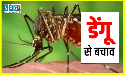 डेंगू क्या है कैसे फैलता है, जानिए कारण, उपाय और 6 तरह के जूस जो नहीं होने देंगे डेंगू