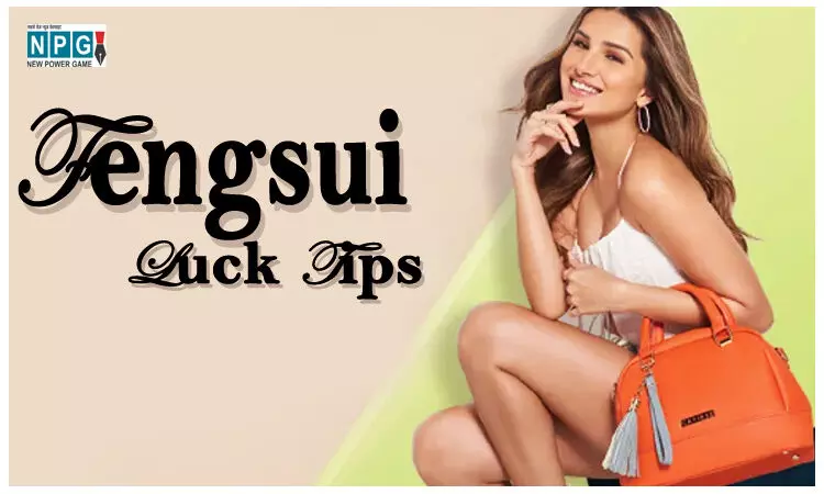 Fengsui Luck Tips: आपके पर्स का रंग बदलता है भाग्य, जानिए किस रंग के पर्स से चमकेगी किस्मत