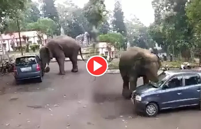 Elephant Video: शरारती हाथी कार से खेलने लगा गोल-गोल रानी, VIDEO देख हक्के-बक्के रहे गए लोग....
