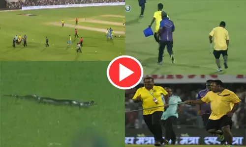 T20-VIDEO: गजब! मैदान में हुई सांप की एंट्री, स्टेडियम में फैली दहशत...देखें