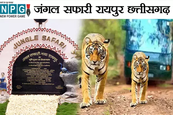 Jungle Safari: जंगल सफारी में 51 दिन में 9 वन्‍य जीवों की मौत: वन मंत्री ने बताया इनमें 3 की मृत्‍यु स्‍वभाविक, इस कारण मर गए बाकी जानवर...