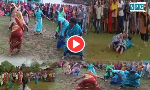 Video आप भी देखें: छत्तीसगढ़िया ओलंपिक का यह वीडियो सोशल मीडिया पर छाया... हजारों लोग देख चुके