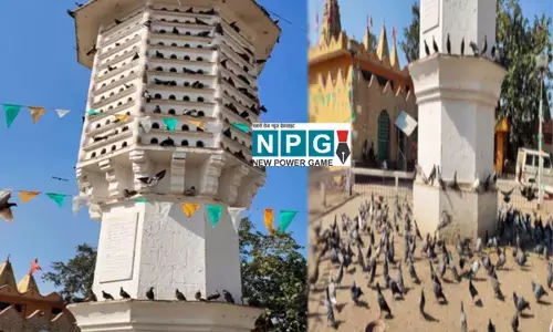 छत्तीसगढ़: मां की इच्छा पूरी करने बेटों ने बनवा दिया कबूतरों के लिए 11 मंजिला लव टॉवर