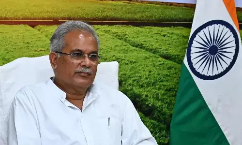 किसानों को बड़ी सौगात: 7755 रुपए क्विंटल में मूंग और 6600 रुपए प्रति क्विंटल में अरहर व उड़द खरीदेगी छत्तीसगढ़ सरकार