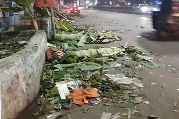 नगर निगम से अपील... दीपावली पर केले के पत्तों को स्थान निर्धारित कर बेचा जावे