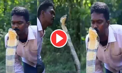 OMG! जहरीले सांप को चूमते शख्स का VIDEO वायरल, देखकर यूजर्स भी रह गए हक्के-बक्के...देखिए