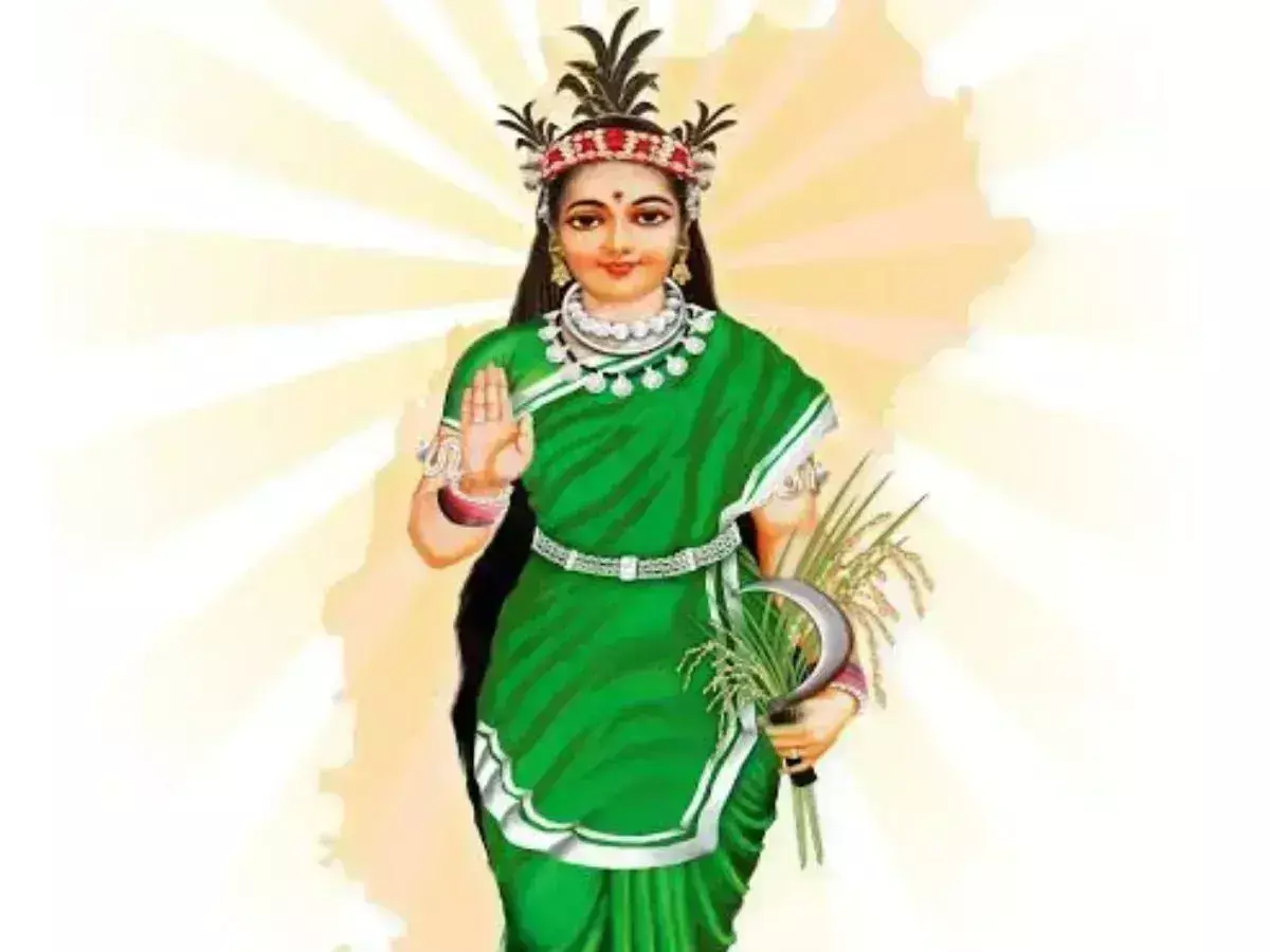 छत्तीसगढ़ स्थापना दिवस 1नवम्बर 2000