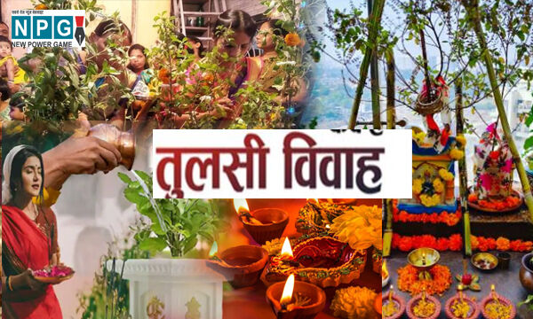 Tulsi Vivah 2022: जानिए कितने बजे है शुभ मुहूर्त और सही पूजा विधि व ...