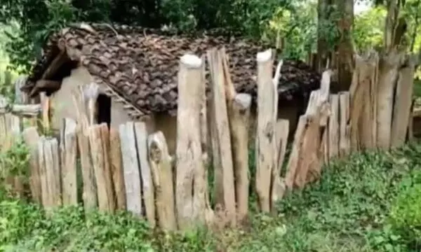 Tribals unique tradition Ancestors spirit home : अबूझमाड़, जहाँ पूर्वजों की आत्माएं बसती हैं हांडियों के अंदर, बनता है उनके लिए अलग घर, जानें आदिवासियों की इस अनोखी परंपरा के बारे में Tribals unique tradition Ancestors spirit home : अबूझमाड़, जहाँ पूर्वजों की आत्माएं बसती हैं हांडियों के अंदर, बनता है उनके लिए अलग घर, जानें आदिवासियों की इस अनोखी परंपरा के बारे में