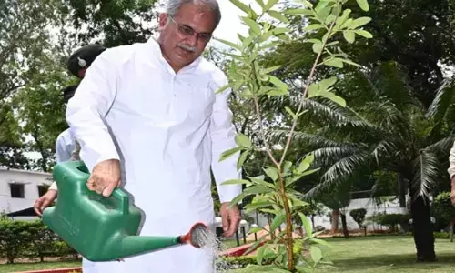 छत्तीसगढ़ में हरियाली के साथ बढ़ेगी किसानों की आय