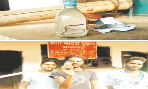 शराब की बोतल में सांप नहीं: आबकारी विभाग ने दी खुद को क्लीन चिट, शराब खरीदने वाले पर ही छेड़छाड़ का संदेह, प्लेसमेंट एजेंसी को...