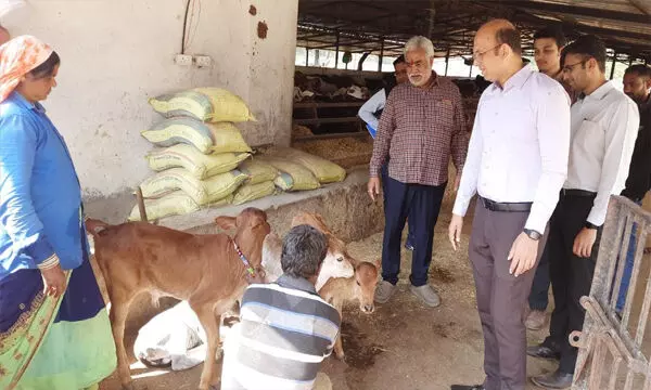 कलेक्टर डॉ. सर्वेश्वर नरेन्द्र भुरे ने किया फुंडहर गौठान का निरीक्षण कलेक्टर डॉ. सर्वेश्वर नरेन्द्र भुरे ने किया फुंडहर गौठान का निरीक्षण