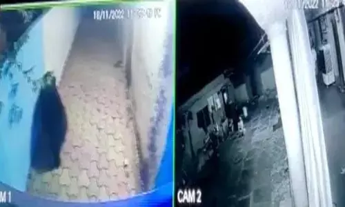 Video घर में घुसा भालू: बाड़ी के बाद इस बार घर के भीतर पहुंचा भालू, डॉग ने बचाई परिवार की जान