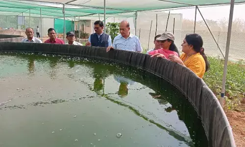 CG में देश का पहला मत्स्य अनुसंधान केंद्र: मछलियों के जेनेटिक्स में अनुसंधान के लिए 100 एकड़ क्षेत्र में बना सेंटर, थाइलैंड के वैज्ञानिक दे रहे मदद