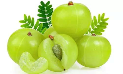 Amla ke Fayde: सर्दियों में इसका जरूर करें सेवन इतनी सारी बीमारियों के लिए है रामबाण