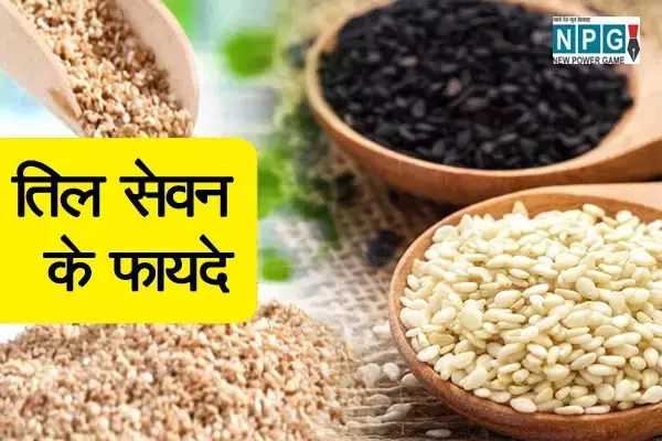 तिल सेवन के फायदे ही फायदे: एनर्जी, खूबसूरती, कैंसर, डायबिटीज, महिलाओं को अनियमित पीरियड्स जैसी अनेक समस्याओं में फायदेमंद है तिल का सेवन