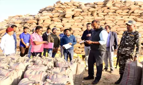 Balrampur News: कलेक्टर विजय दयाराम ने किया धान खरीदी केन्द्रों का औचक निरीक्षण