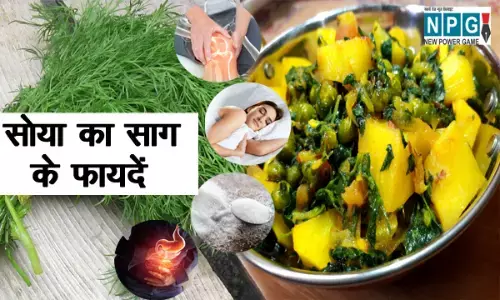 Soya ka saag khane k behtarin fayde सोया का साग: सर्दियों में जरूर खाएँ,जानिए इसके फायदें