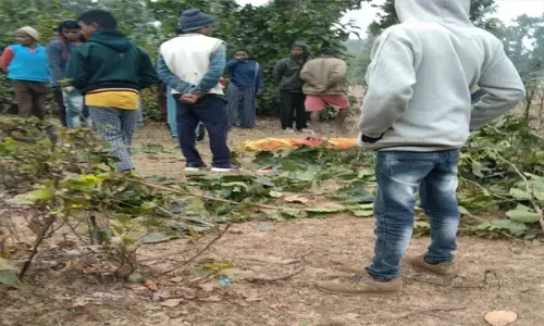 CG में आदमखोर तेंदुआ: घर के सामने से महिला को उठा ले गया, नोंच कर गर्दन धड़ से किया अलग, तीसरी घटना...