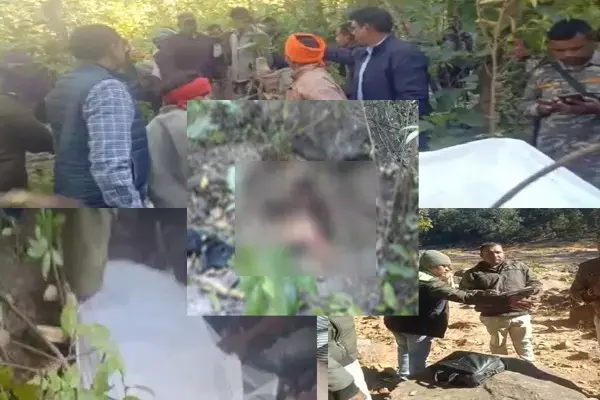 तेंदुआ के बाद अब बाघ का आतंक: छत्तीसगढ़ में मछली पकड़ रहे ग्रामीण को बाघ ने मार डाला, जंगल में मिला शव