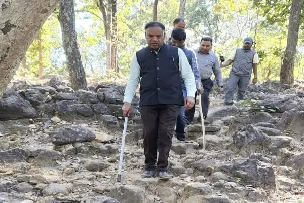 कलेक्टर साहब डंडा लेकर निकल गए बाघ की खोज करने