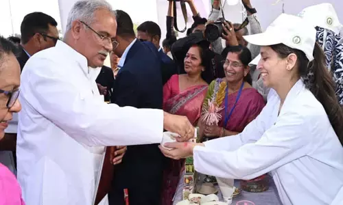 CG Millet News-CM भूपेश ने लिया मिलेट के पकौड़े, भजिए का आनंद...मिलेट्स बालूशाही, अप्पे, चिवड़ा और भेल की जानकारी लेने पहुंच रहे लोग