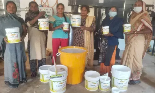 गोबर से बना प्राकृतिक पेंट है फायदे की डील, पर्यावरण के अनुकूल और पेंट निर्माण की आजीविका से ग्रामीण महिलाओं को हो रहा लाभ...