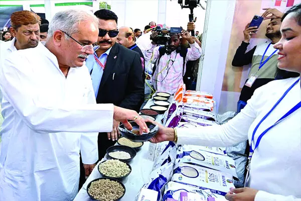 छत्तीसगढ़ में सेहत-समृद्धि का संगम मिलेट छत्तीसगढ़ में सेहत-समृद्धि का संगम मिलेट
