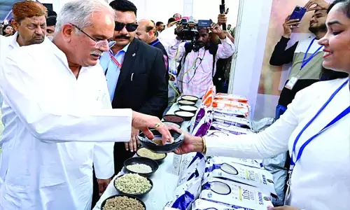 छत्तीसगढ़ में सेहत-समृद्धि का संगम मिलेट