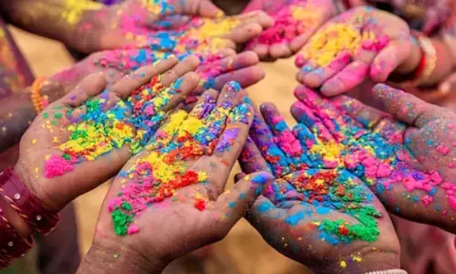 Holi Play Special Tips:होली खेलते समय इन बातों का रखें ध्यान,वरना पड़ जायेगा रंग में भंग