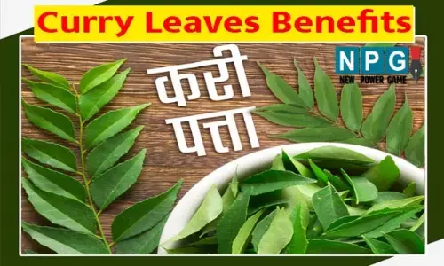 Curry Leaves Benefits: जानलेवा बीमारी के लिए है रामबाण करी पत्ता, जानिए किस किस रोग में कर सकते हैं इसका इस्तेमाल...