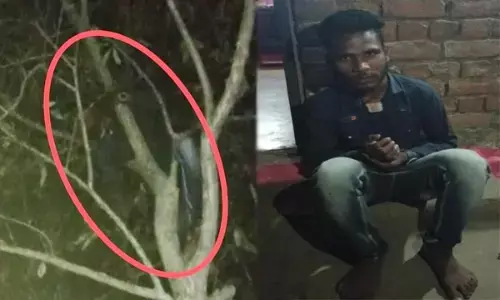 CG-Video: मेरी शादी मत कराओ: शादी करने के दबाव से परेशान बेटा चढ़ गया पेड़ पर, पढ़िए फिर क्या हुआ...