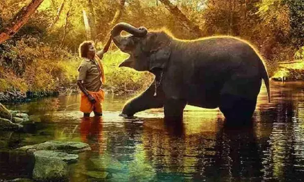 Oscar Award 2023: डॉक्यूमेंट्री फिल्म द एलिफेंट व्हिस्परर्स का दुनिया में बजा डंका, जानें इसकी पूरी कहानी
