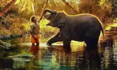 Oscar Award 2023: डॉक्यूमेंट्री फिल्म द एलिफेंट व्हिस्परर्स का दुनिया में बजा डंका, जानें इसकी पूरी कहानी