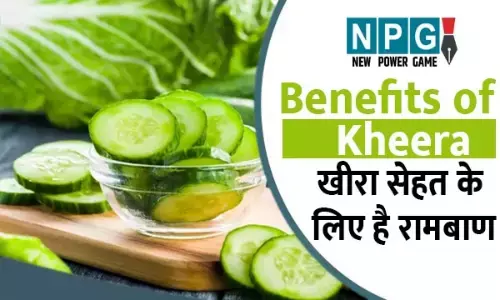 Benefits of Kheera: खीरा सेहत के लिए है रामबाण, कुछ लोगों के लिए इसका सेवन देता है पीड़ा...