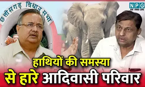 CG में हाथी नहीं साथी : हाथियों ने 207 लोगों को मार डाला, 6318 घर उजाड़े, 14858 हेक्टेयर की फसल बर्बाद कर दी