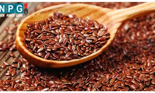 linseed production in Chhattisgarh: बहुउपयोगी फसल है अलसी, कृषि विश्वविद्यालय के वैज्ञानिकों ने अलसी से कपड़ा निर्माण की तकनीक विकसित की