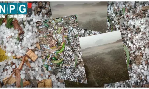 CG Mausam News मैनपाट में कंचे के आकार के ओले : चक्रवात और द्रोणिका के असर से छत्तीसगढ़ में फिर मौसम बदला, कई स्थानों पर आंधी-बारिश...