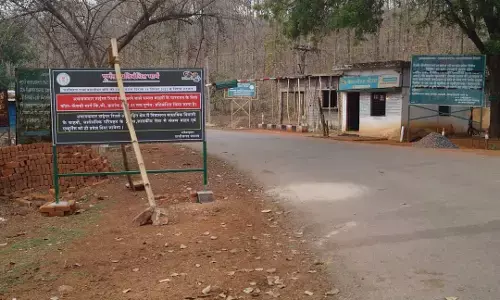 Achanakmar Tiger Reserve आज से कोटा-केंवची मार्ग पुनः बंद, पूर्व में हाईकोर्ट के आदेश पर बंद रास्ता खोलना पड़ा था