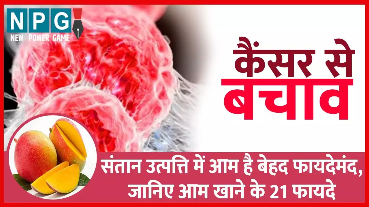 Mango benefits: कैंसर से बचाव से लेकर वेट लॉस, संतान उत्पत्ति में आम है बेहद फायदेमंद, जानिए आम खाने के 21 फायदे...